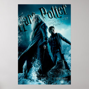 Harry Potter en Dumbledore op rotsen 1 Poster