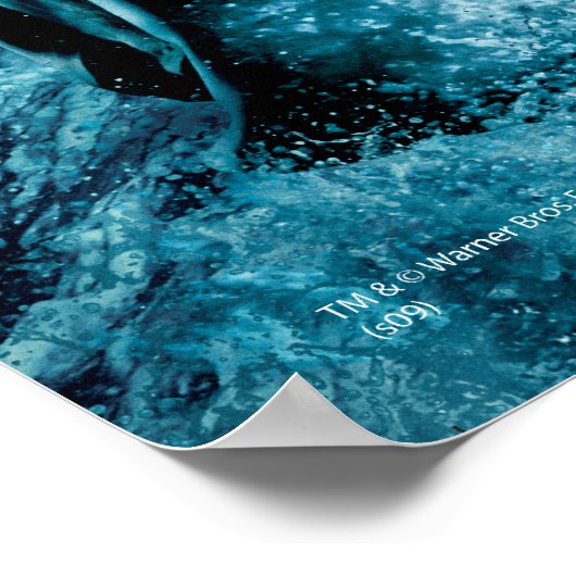 Harry Potter en Dumbledore op stenen 1 Poster (Hoek)