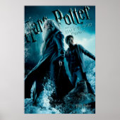Harry Potter en Dumbledore op stenen 1 Poster (Voorkant)