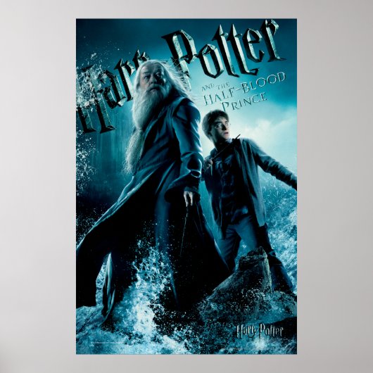 Harry Potter en Dumbledore op stenen 1 Poster (Voorkant)