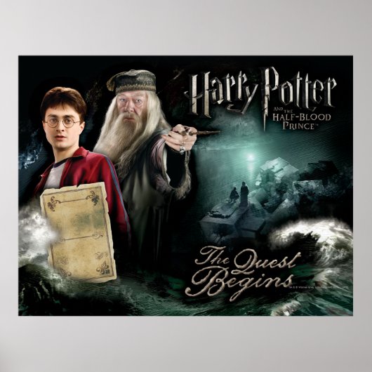 Harry Potter en Dumbledore Poster (Voorkant)