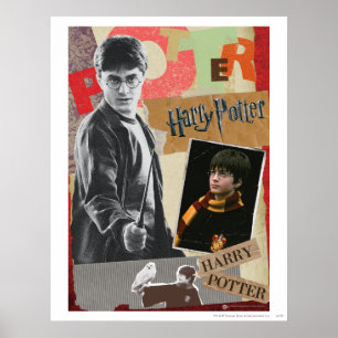 Harry Potter en nu Poster