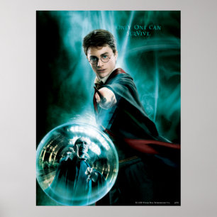 Harry Potter en Voldemort kan maar overleven Poster