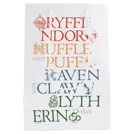 HARRY POTTER™ | Fijne schets HOGWARTS™-huizen Medium Cadeauzakje (Achterkant)