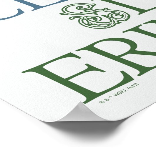 HARRY POTTER™ | Fijne schets HOGWARTS™-huizen Poster (Hoek)