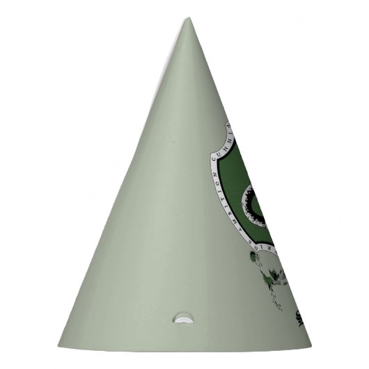 HARRY POTTER™ | Fijne schets SLYTHERIN™ Crest Feesthoedjes (Links)