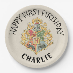 Harry Potter First Birthday Paper Bord