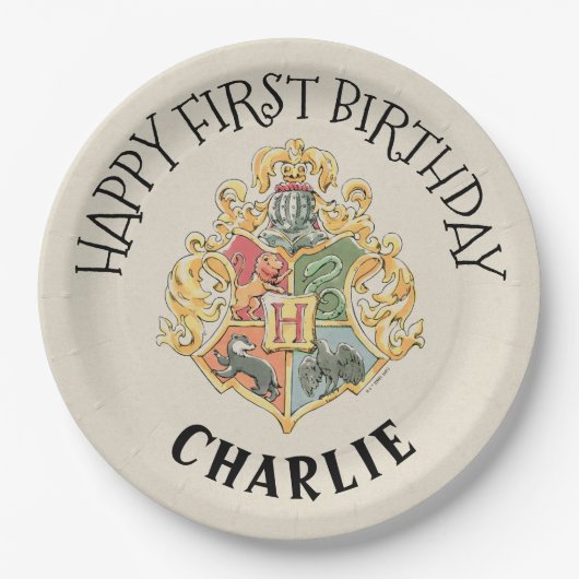 Harry Potter First Birthday Paper Bord (Voorkant)