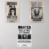 HARRY POTTER™ Gezocht Muurkunst Sets (Voorkant)