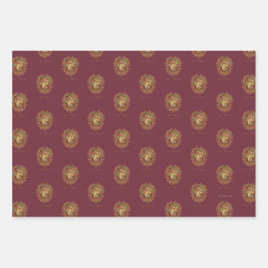 HARRY POTTER™ | GRYFFINDOR™ Crest Inpakpapier Vel (Voorkant 2)