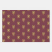 HARRY POTTER™ | GRYFFINDOR™ Crest Inpakpapier Vel (Voorkant)