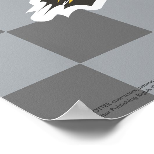 Harry Potter | Gryffindor QUIDDITCH™ Crest Poster (Hoek)