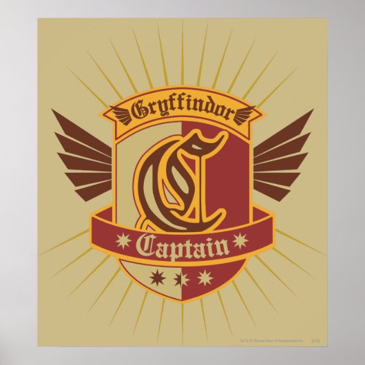 Harry Potter | Gryffindor QUIDDITCH � Kapitein Emb Poster (Voorkant)