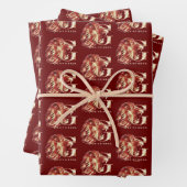 Harry Potter | GRYFFINDOR™-Waterverf Inpakpapier Vel (In situ)