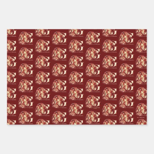 Harry Potter | GRYFFINDOR™-Waterverf Inpakpapier Vel (Voorkant)
