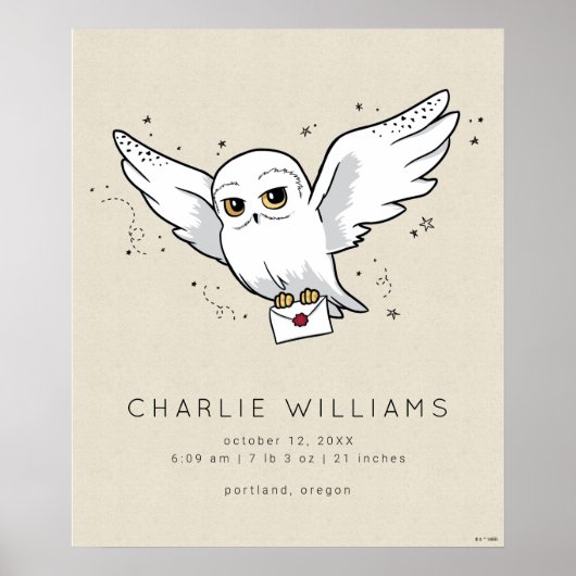 Harry Potter | Hedwig Baby Birth Stats Poster (Voorkant)