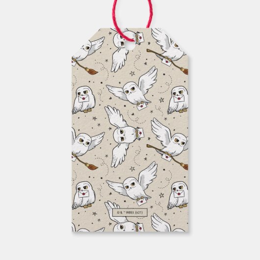 Harry Potter | Hedwig Baby Shower Bedankt Cadeaulabel (Achterkant)