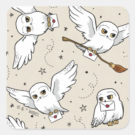 Harry Potter | Hedwig Baby Shower Square Sticker (Voorkant)