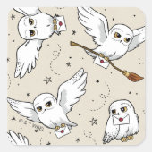 Harry Potter | Hedwig Baby Shower Vierkante Sticke Sticker (Voorkant)