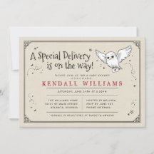 Harry Potter | Hedwig Bezorging Baby Shower