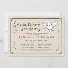 Harry Potter | Hedwig Bezorging Baby Shower