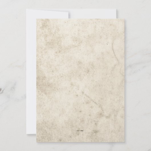 Harry Potter | Hedwig Graduation Party Aankondiging (Achterkant)