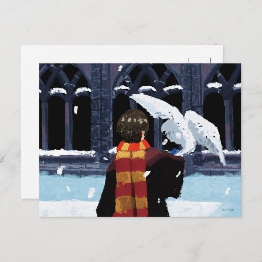 HARRY POTTER™ & Hedwig in de sneeuw Briefkaart (Voorkant / Achterkant)