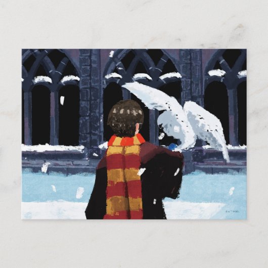 HARRY POTTER™ & Hedwig in de sneeuw Briefkaart (Voorkant)