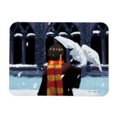 HARRY POTTER™ & Hedwig in de sneeuw Magneet (Horizontaal)