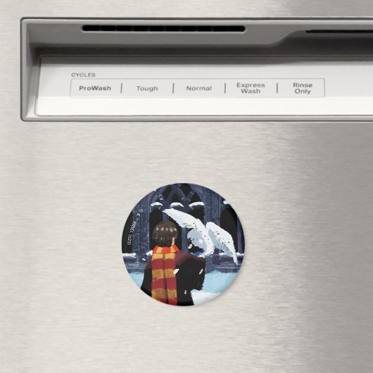 HARRY POTTER™ & Hedwig in de sneeuw Magneet (Insitu (Vaatwasser))