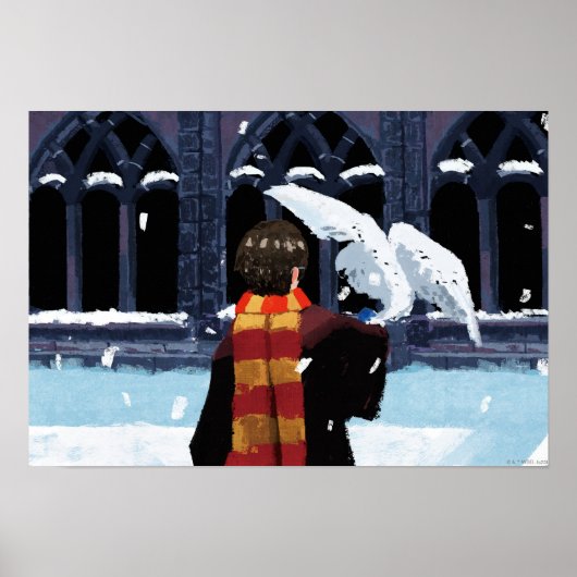 HARRY POTTER™ & Hedwig in de sneeuw Poster (Voorkant)