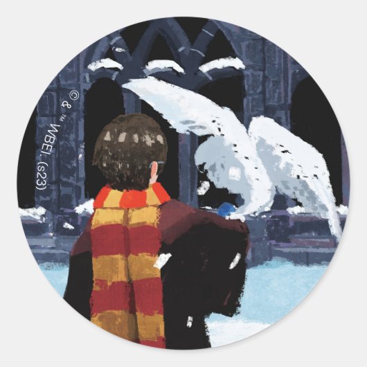HARRY POTTER™ & Hedwig in de sneeuw Ronde Sticker (Voorkant)