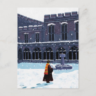 HARRY POTTER™ & Hedwig in HOGWARTS™ Courtyard Briefkaart