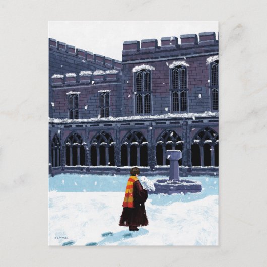 HARRY POTTER™ & Hedwig in HOGWARTS™ Courtyard Briefkaart (Voorkant)