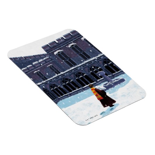 HARRY POTTER™ & Hedwig in HOGWARTS™ Courtyard Magneet (Rechterzijde)