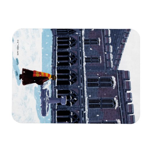 HARRY POTTER™ & Hedwig in HOGWARTS™ Courtyard Magneet (Horizontaal)