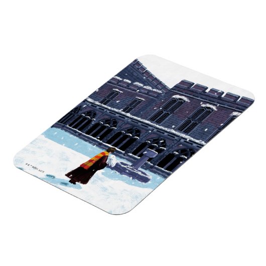 HARRY POTTER™ & Hedwig in HOGWARTS™ Courtyard Magneet (Linkerzijde)