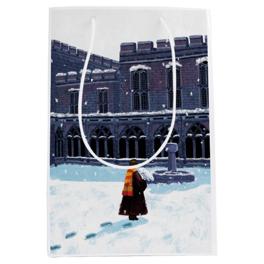 HARRY POTTER™ & Hedwig in HOGWARTS™ Courtyard Medium Cadeauzakje (Voorkant)