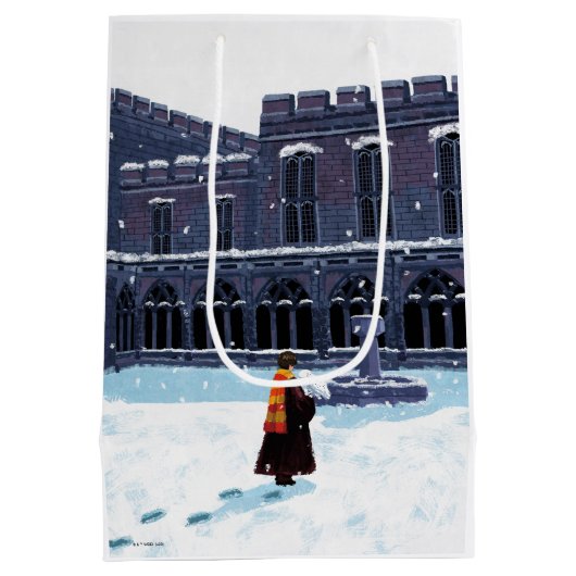 HARRY POTTER™ & Hedwig in HOGWARTS™ Courtyard Medium Cadeauzakje (Achterkant)