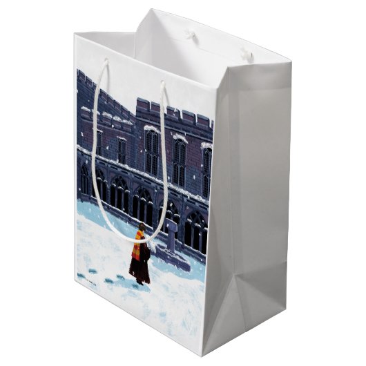 HARRY POTTER™ & Hedwig in HOGWARTS™ Courtyard Medium Cadeauzakje (Achterkant Gekanteld)
