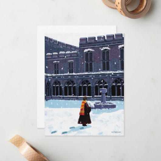 HARRY POTTER™ & Hedwig in HOGWARTS™ Courtyard Notitiekaartje (Voorkant / Achterkant in situ)