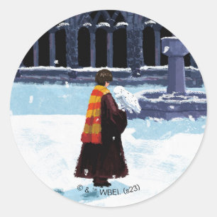 HARRY POTTER™ & Hedwig in HOGWARTS™ Courtyard Ronde Sticker