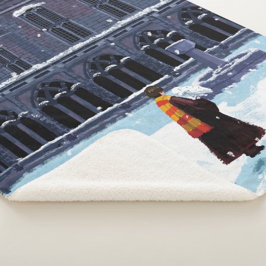 HARRY POTTER™ & Hedwig in HOGWARTS™ Courtyard Sherpa Deken (3/4)