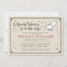 Harry Potter Hedwig Special Delivery Geslacht onth Kaart
