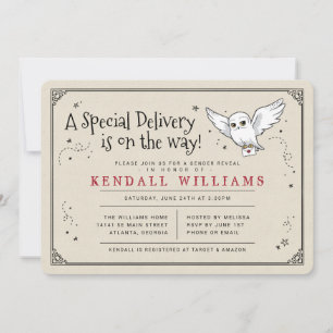 Harry Potter Hedwig Special Delivery Geslacht onth Kaart