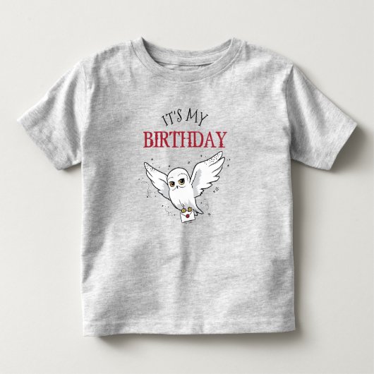 Harry Potter Hedwig Speciale Bezorging Verjaardag Kinder Shirts (Voorkant)