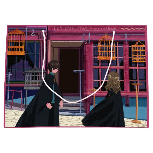 HARRY POTTER™ & Hermione bij Eeylops Owl Emporium Groot Cadeauzakje (Voorkant)