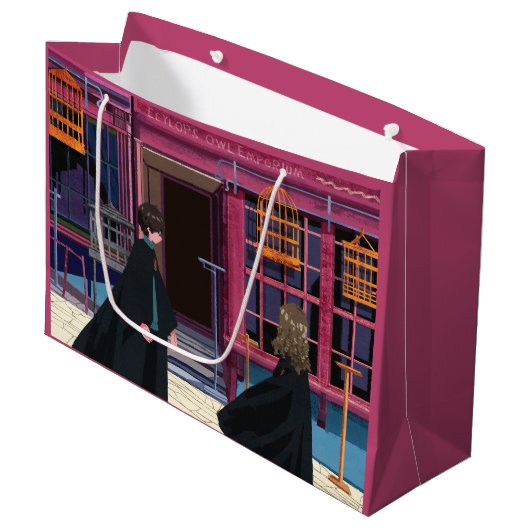 HARRY POTTER™ & Hermione bij Eeylops Owl Emporium Groot Cadeauzakje (Voorkant Gekanteld)
