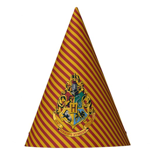 Harry Potter | Hogwarts Birthday Feesthoedjes (Voorkant)