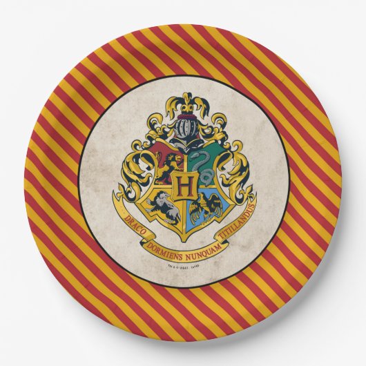 Harry Potter | Hogwarts Birthday Papieren Bordje (Voorkant)